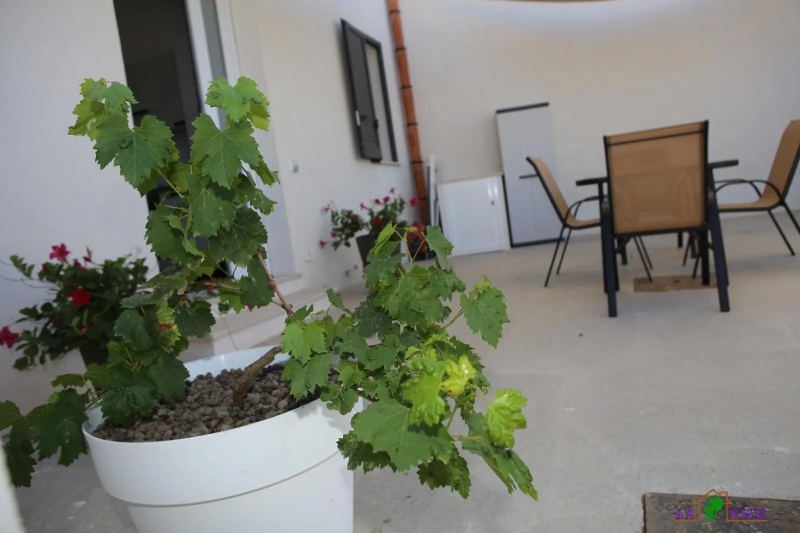 Holiday home La Vite Villa Locogrande